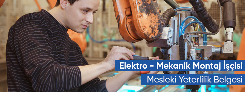 Elektro-Mekanik Montaj İşçisi Seviye 4